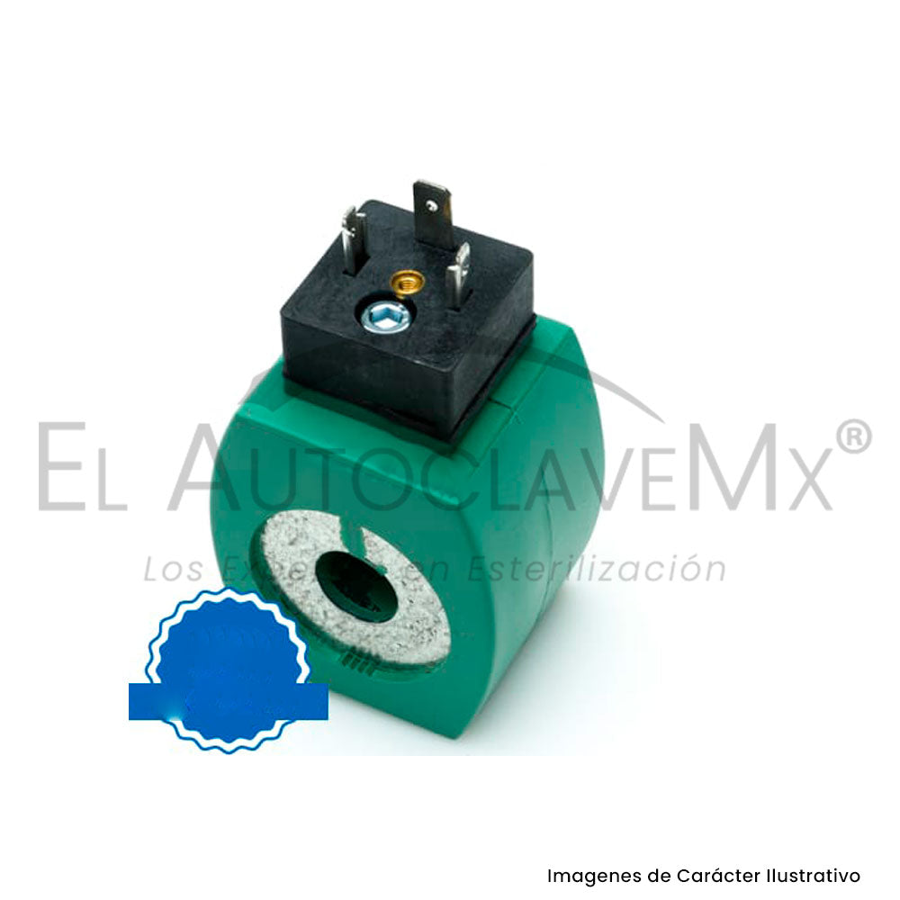 Coil, Solenoid 1