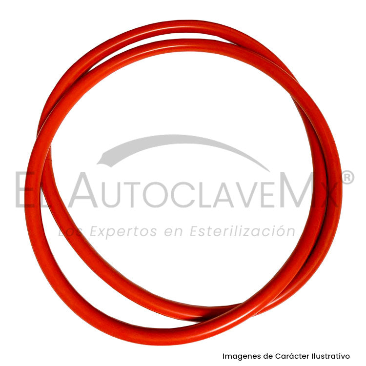 Empaque/Sello para puerta de Autoclave Steri 21
