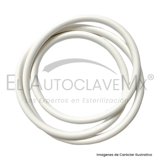 Empaque/Sello para puerta de Autoclave 420