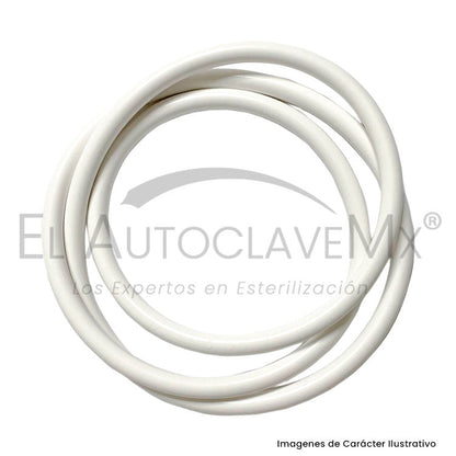 Empaque para puerta de autoclave Serie VS G2/VS SC G2