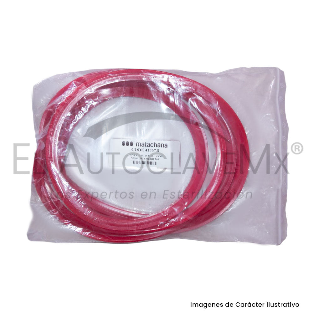 Empaque de Puerta para Esterilizador, Mod. 1010 V-1