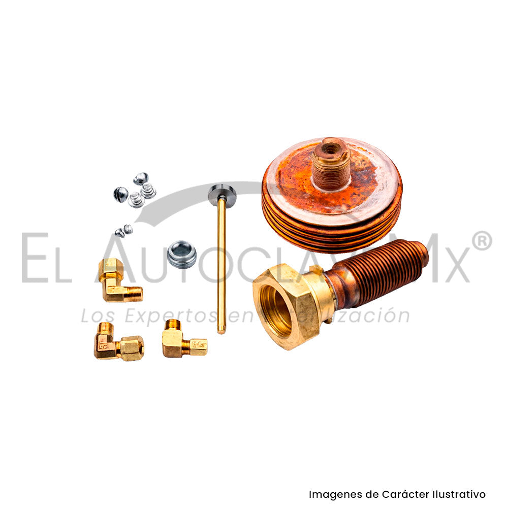 Kit de reparación para válvula de control de vapor