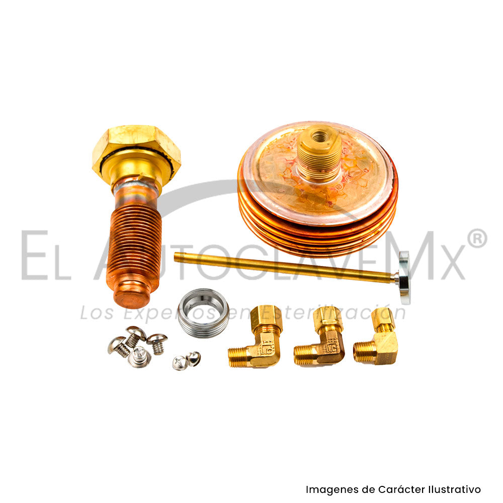 Kit de reparación para Válvula Reguladora de Vapor