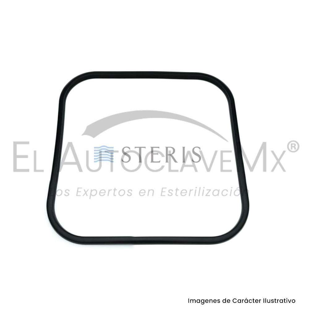 Empaque de puerta Steris V-120