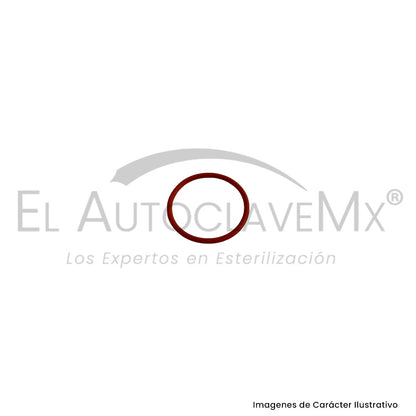 Kit para puerta de autoclave