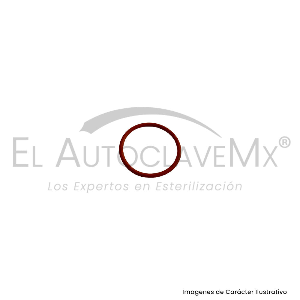 Kit para puerta de Autoclave