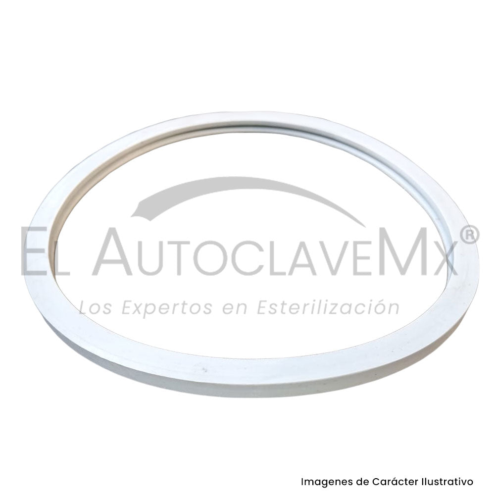 Empaque para puerta Bioclave