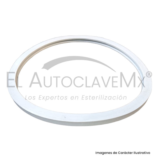 Empaque para puerta Bioclave