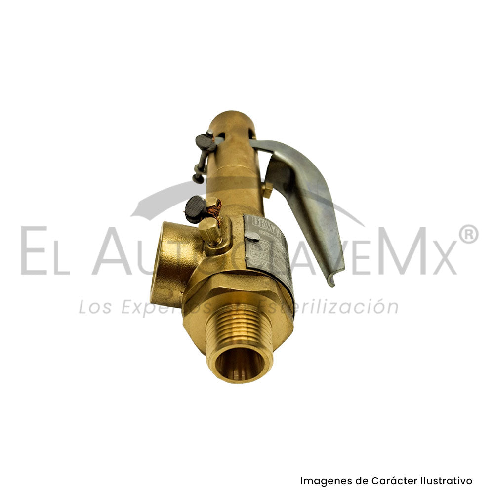 Válvula de Seguridad